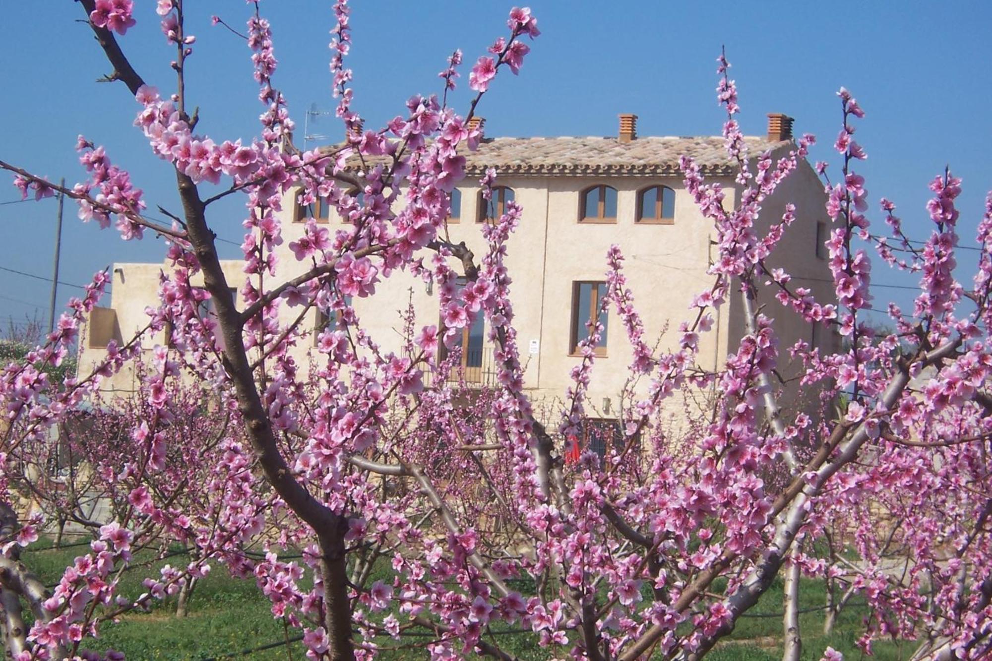 Mas Taniet Hotel Rural Benissanet 외부 사진